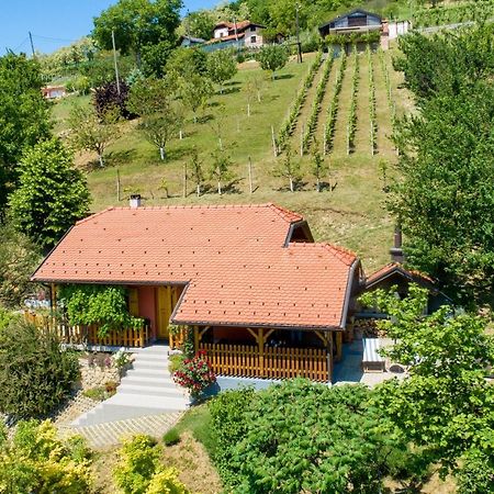 Kuca Za Odmor Hiza I Vila Krapina Luaran gambar