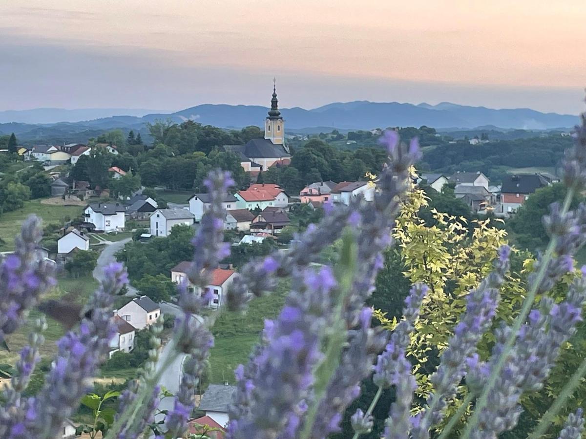 Kuca Za Odmor Hiza I Vila Krapina Luaran gambar