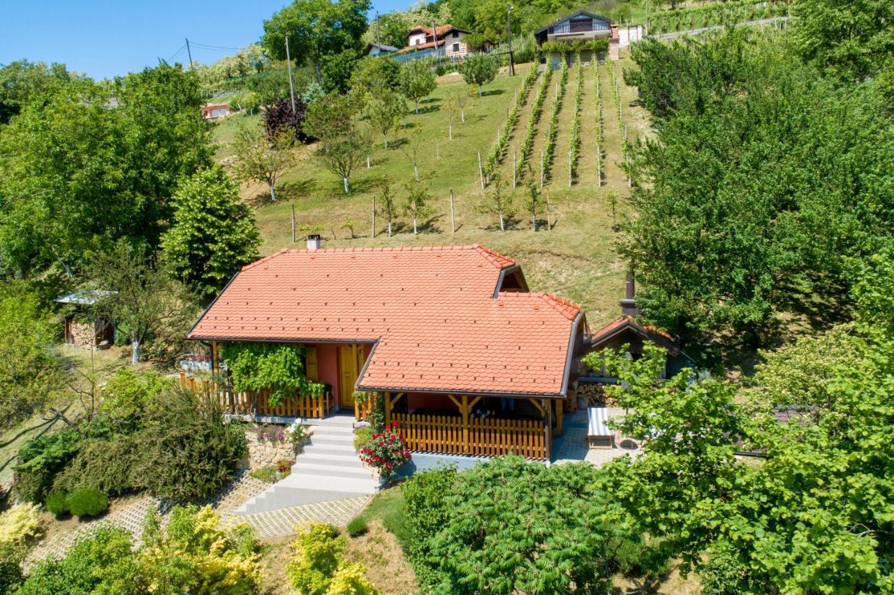Kuca Za Odmor Hiza I Vila Krapina Luaran gambar